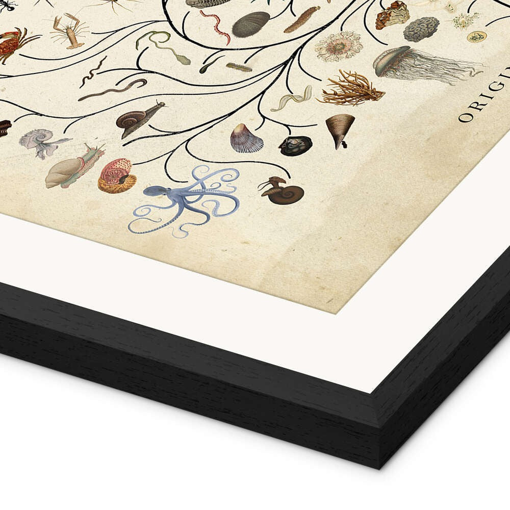Veressa Tree of Life Wall Art Print - Vintage Style Botanical