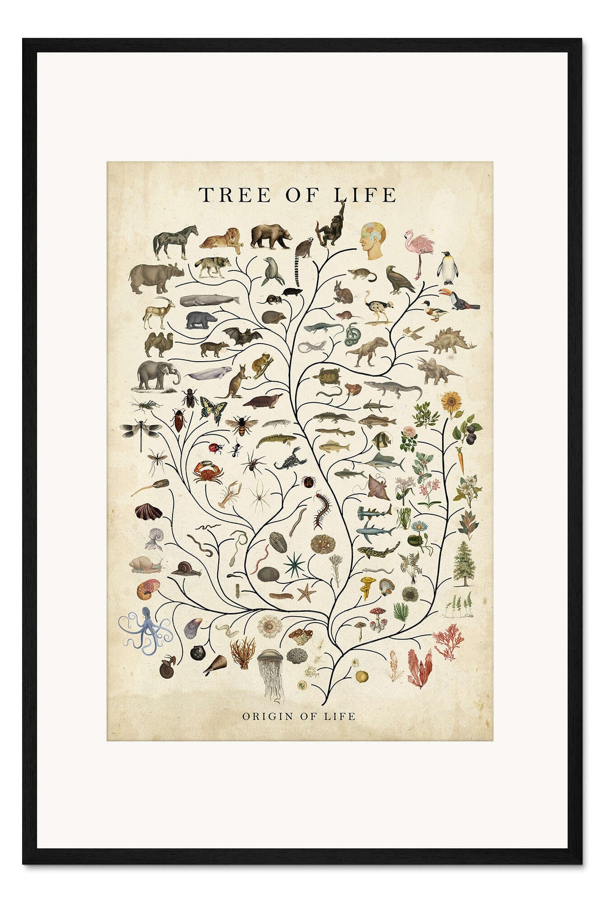 Veressa Tree of Life Wall Art Print - Vintage Style Botanical