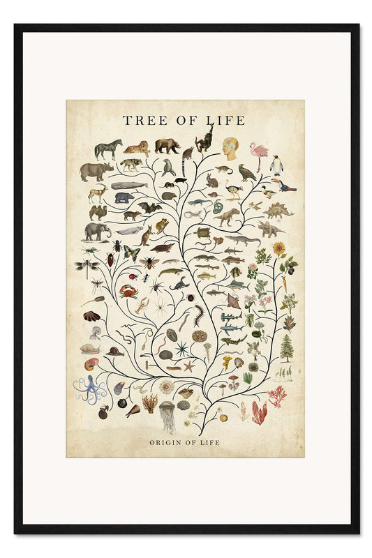 Veressa Tree of Life Wall Art Print - Vintage Style Botanical